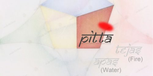 Pitta_EN_V04_Watermark_800